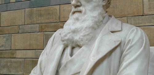 বিবর্তন বনাম স্রষ্টা [Evolution or God]