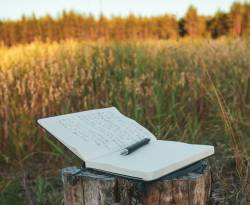 ইসলামে কি কবিতা ও সাহিত্যচর্চা নিষিদ্ধ?