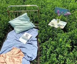 কুরআনের কিছু আয়াত কি আসলেই বকরীতে খেয়ে ফেলেছিল?