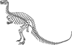 কুরআনে কেন ডাইনোসরের কথা নেই?