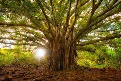 আদম(আ.) ও নুহ(আ.) এর এত দীর্ঘ সময়ব্যপি জীবন যাপন কি অসম্ভব কিছু?