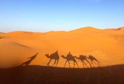 সাহাবীরা কি আসলেই উম্মে কিরফা নামে কোনো নারীকে নির্মমভাবে হত্যা করেছেন?