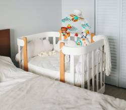 নবী ﷺ কি কোলের শিশুর প্রতি আকৃষ্ট হয়ে তাকে বিয়ে করার আশা প্রকাশ করেছিলেন?